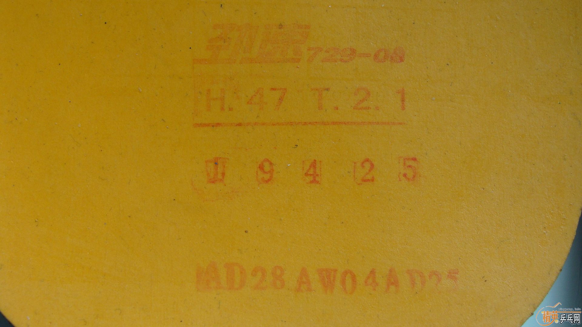 [ԭ��]  9 �׽�  FL  �Ʊ��� ������ �������