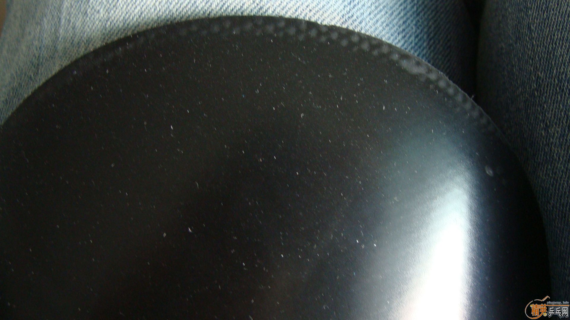 [ԭ��]  9 �׽�  FL  �Ʊ��� ������ �������