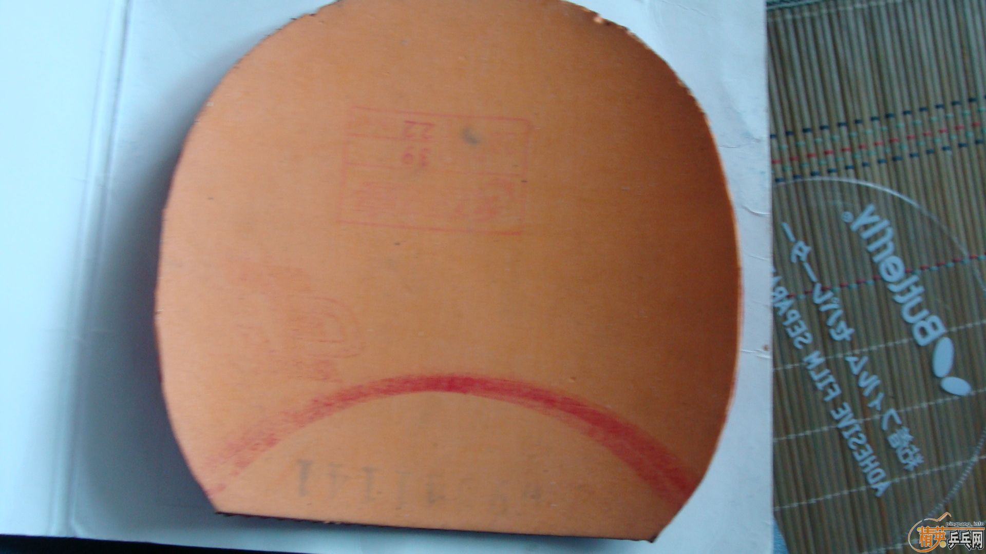 [ԭ��]  9 �׽�  FL  �Ʊ��� ������ �������