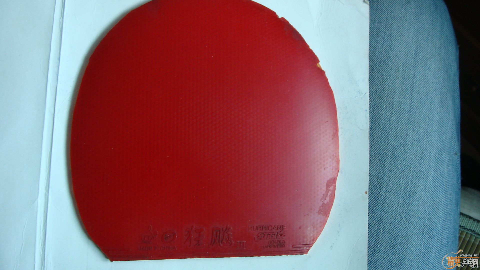 [ԭ��]  9 �׽�  FL  �Ʊ��� ������ �������