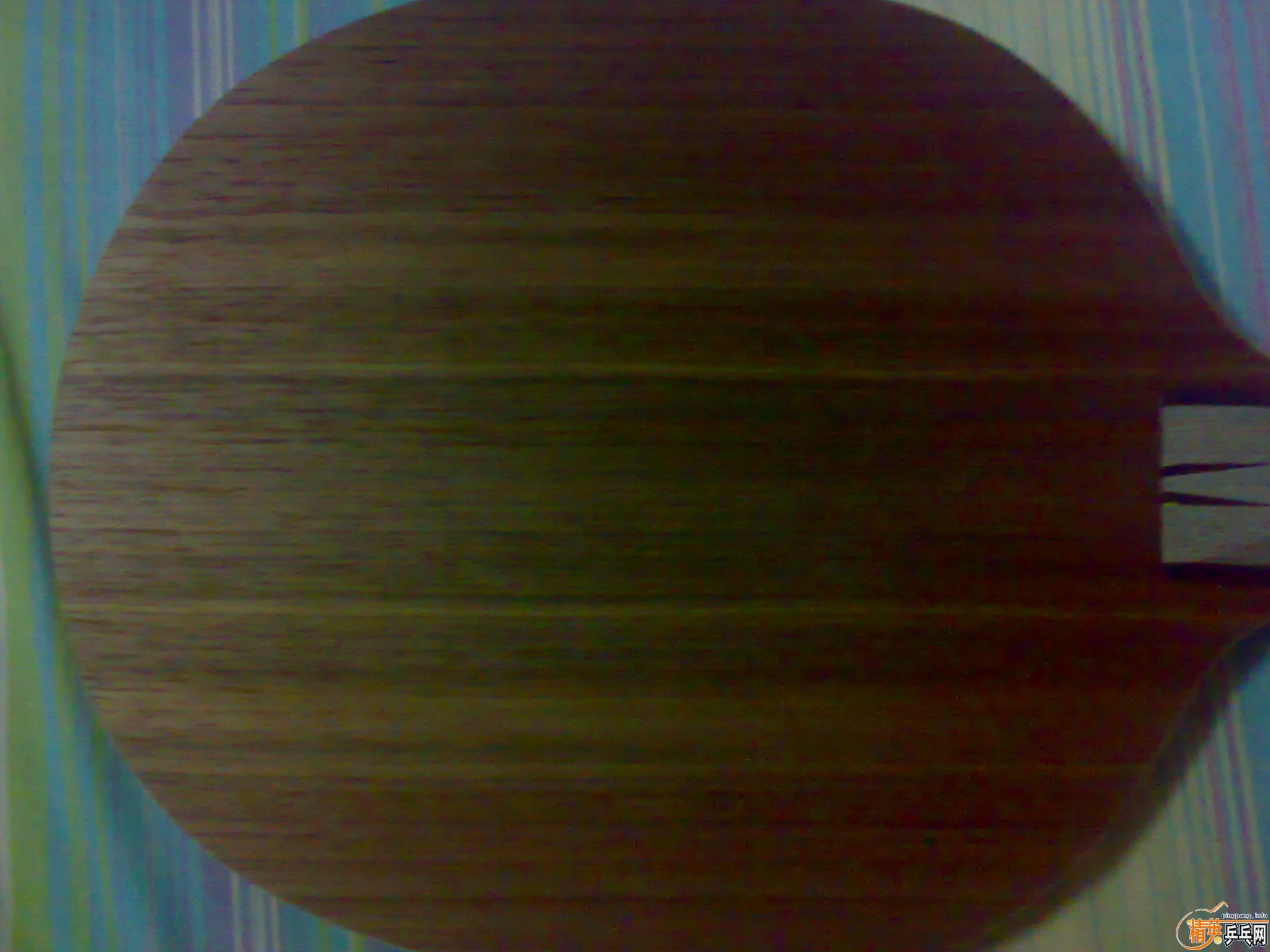 ��yeo��270Ԫ����