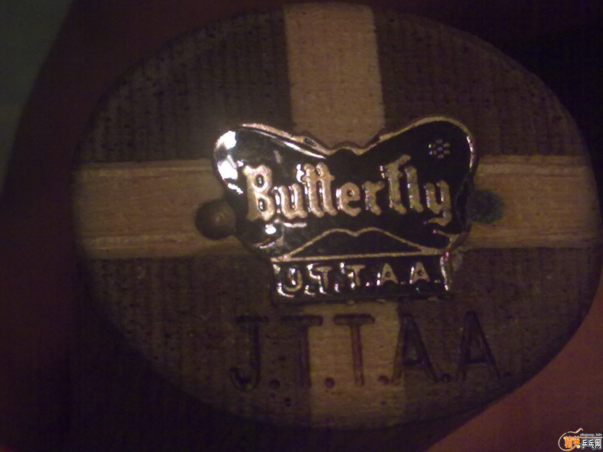 ��������ľ+ո���켫���׽���ֱ�壡