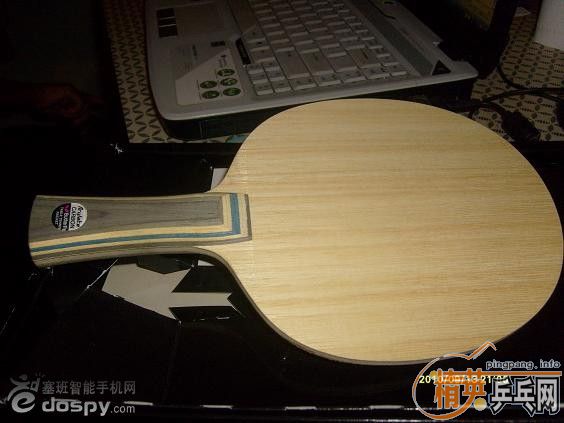 ����һ��9.9���µ�VISCARIA����������������