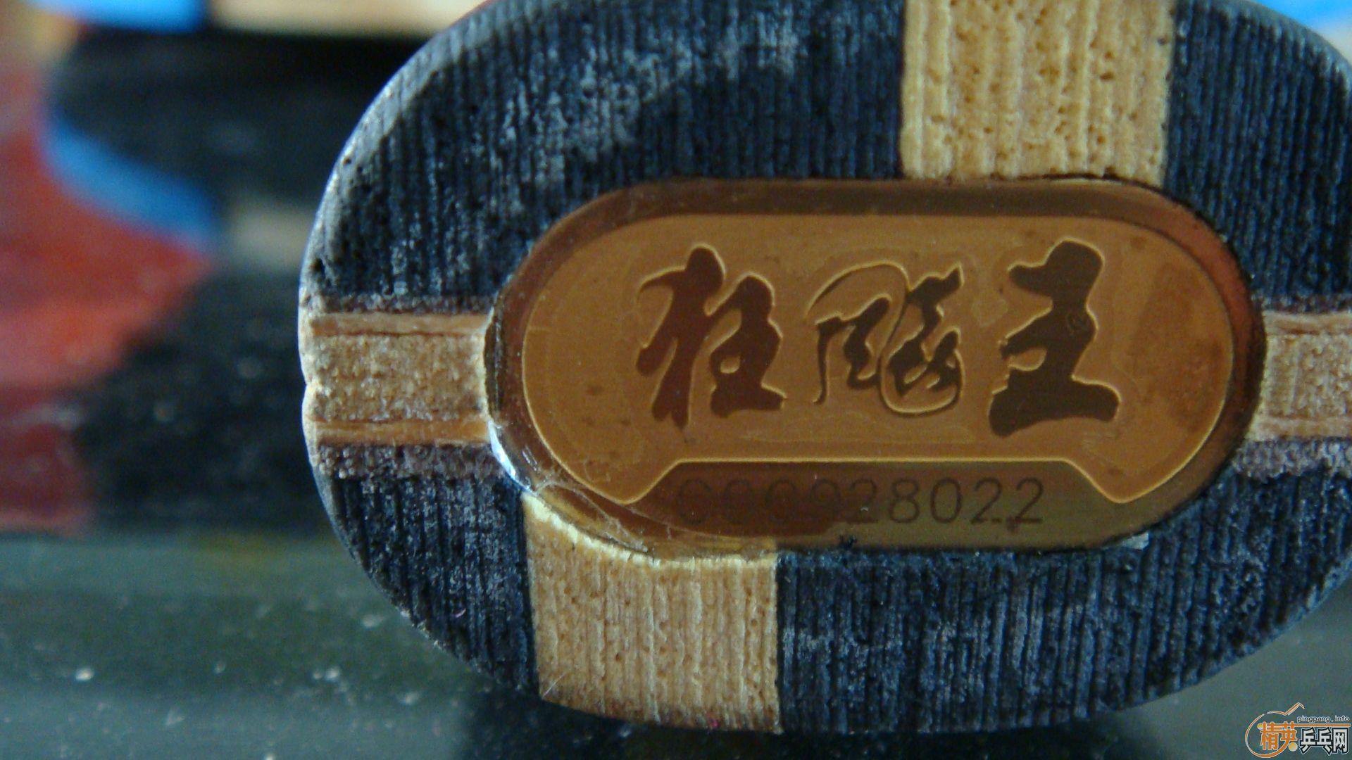 09���������ԶԵ�������۸�