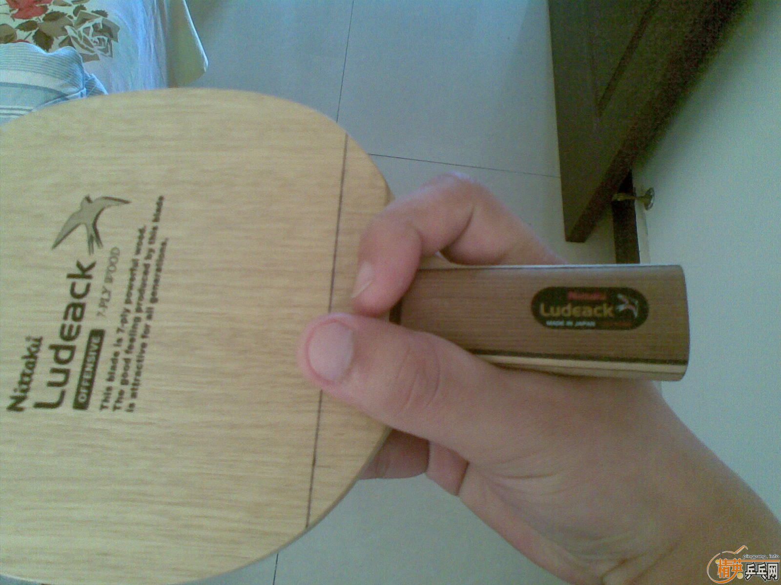 ֹ��ר�����������������������С��  ֧��������