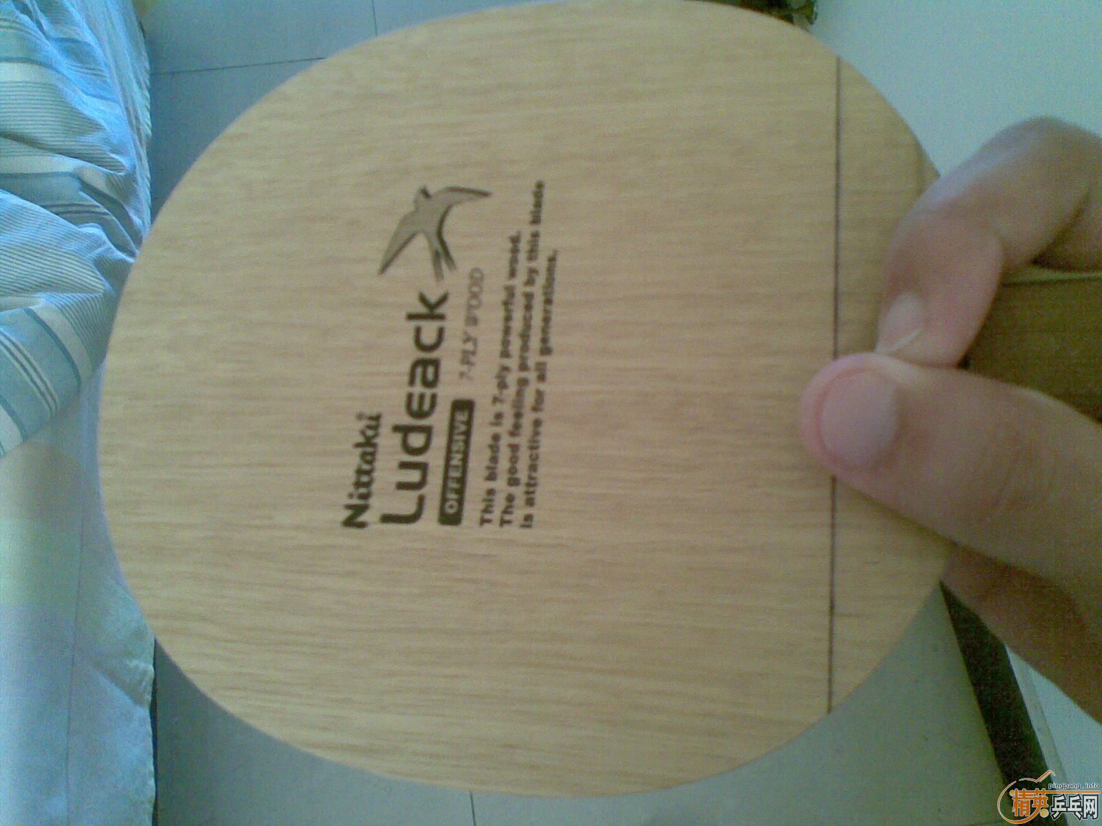 ֹ��ר�����������������������С��  ֧��������