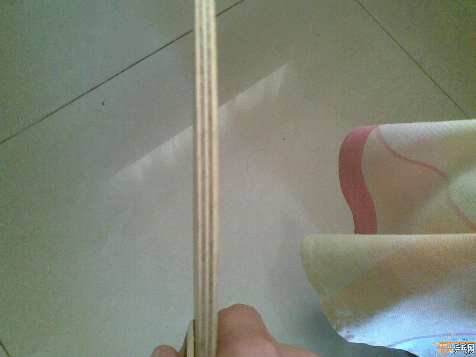 ֹ��ר�����������������������С��  ֧��������