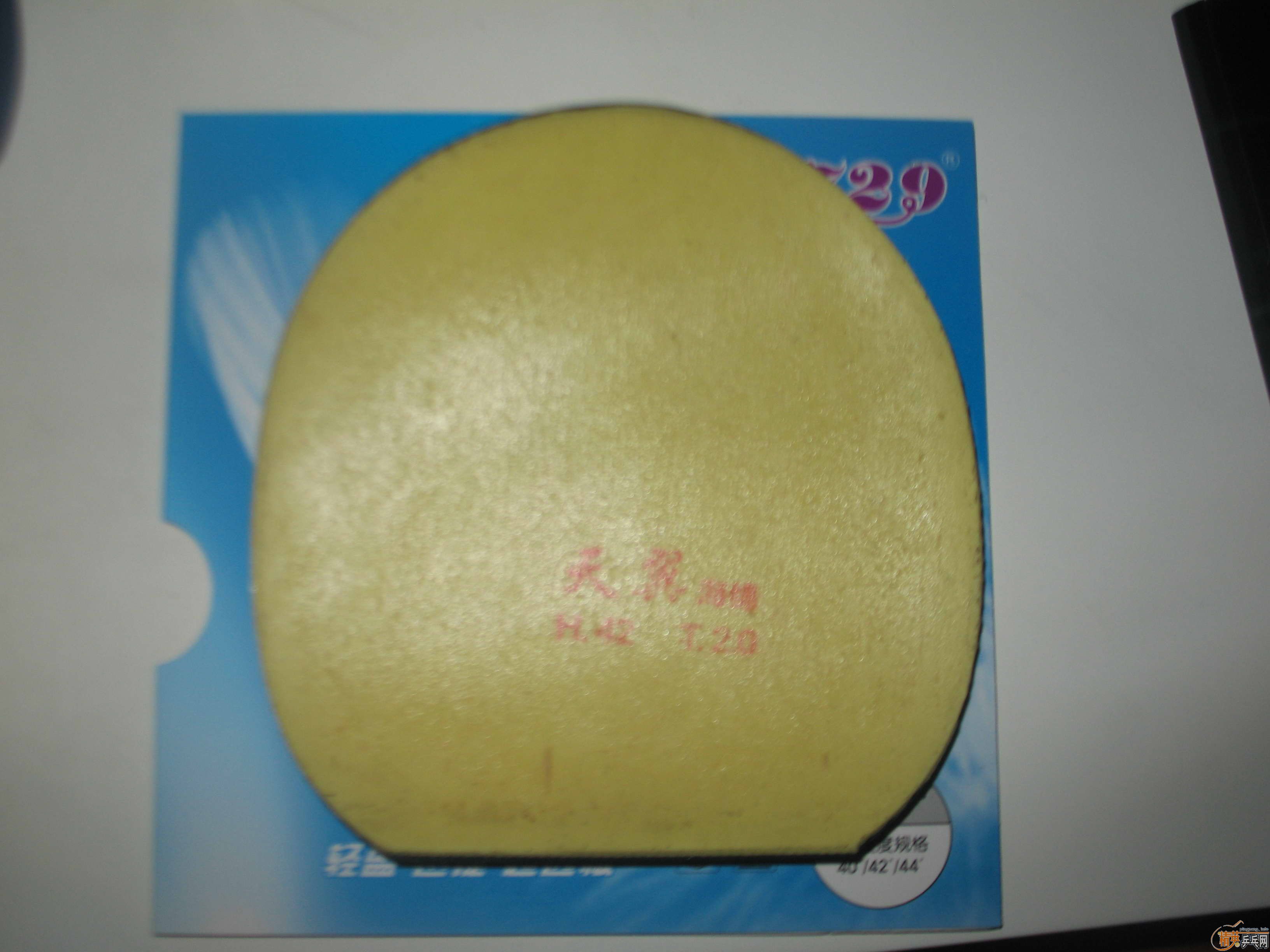 ɷ729