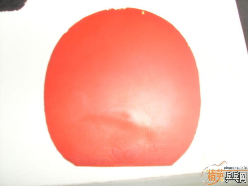 ��F1.���ɵ�-X.SRIVER-G3FX