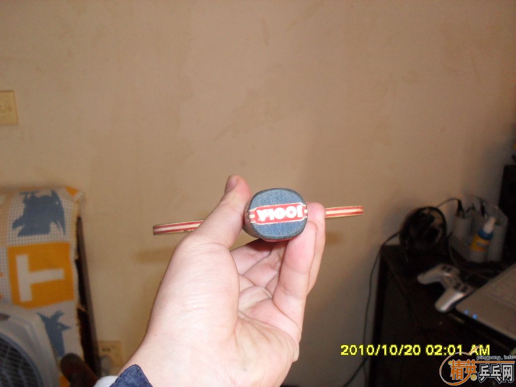 ��JOOLA ��VIVAһֻ