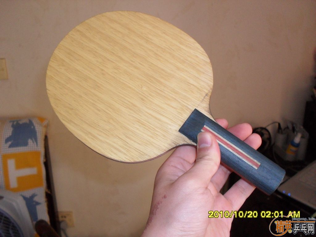 ��JOOLA ��VIVAһֻ