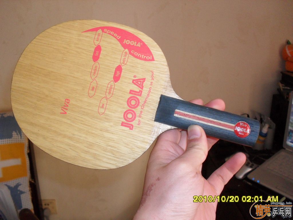 ��JOOLA ��VIVAһֻ