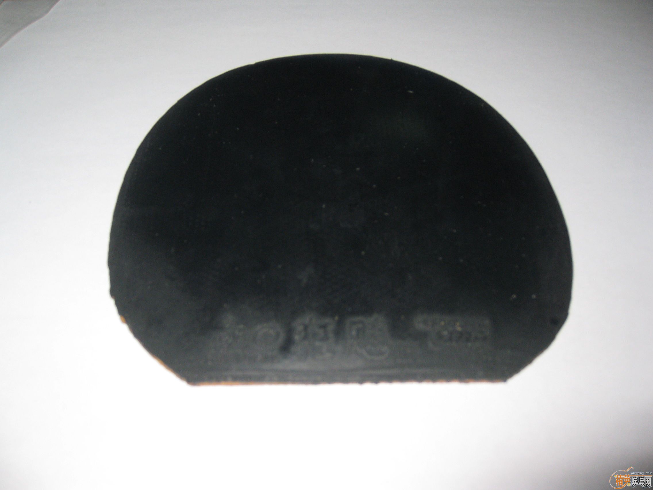 ���ų��º��M5�������׽�