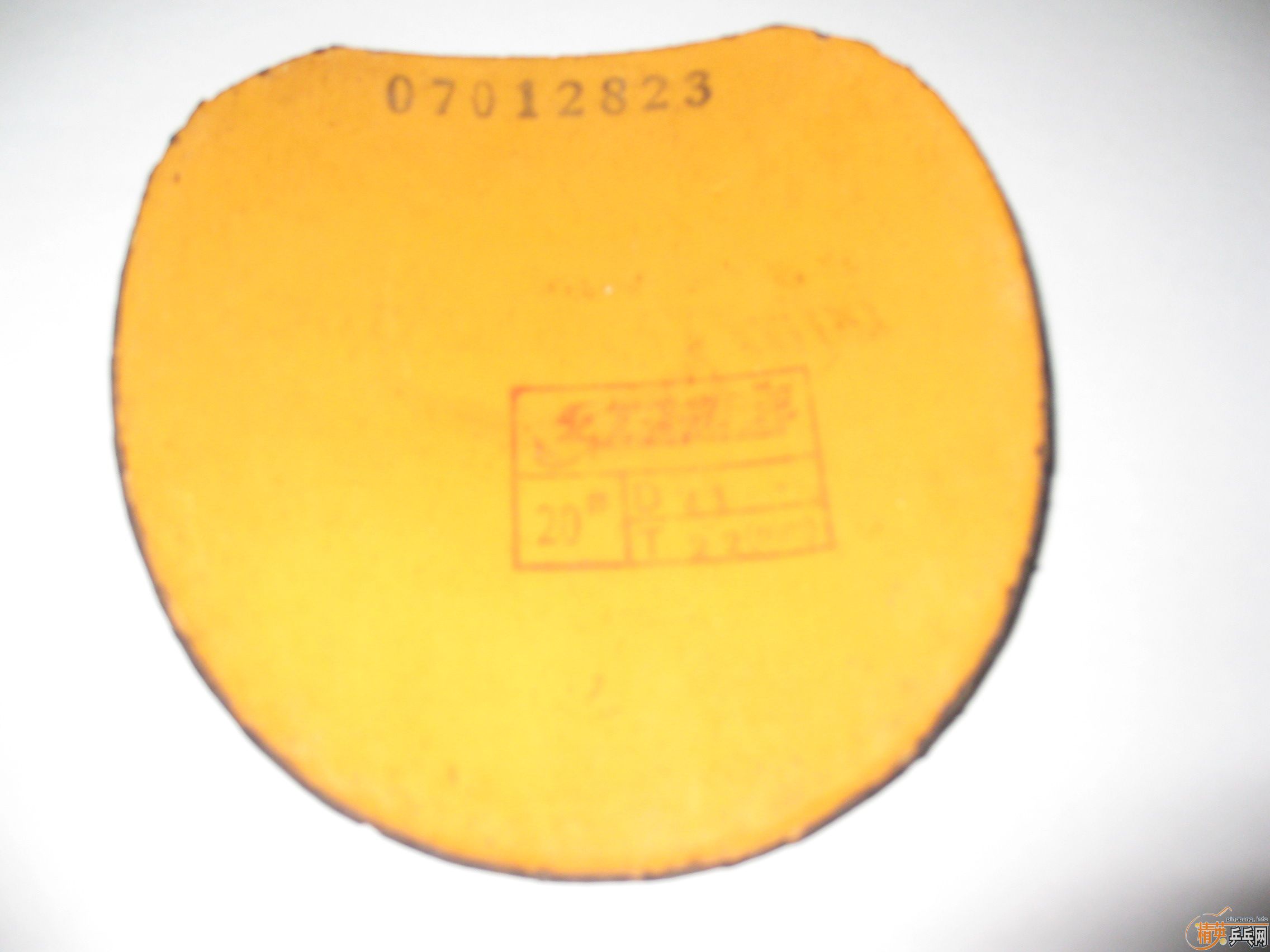 ���ų��º��M5�������׽�