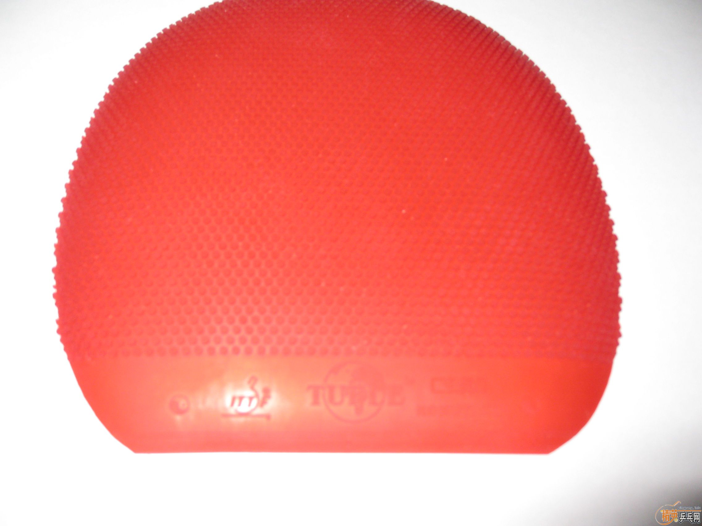 ���ų��º��M5�������׽�