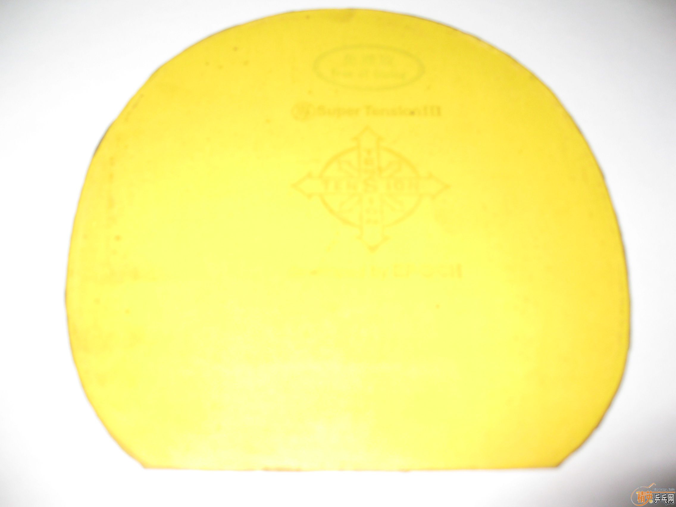 ���ų��º��M5�������׽�