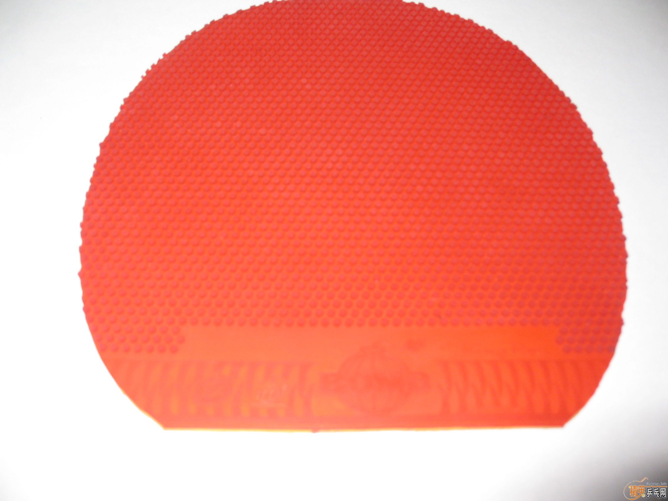 ���ų��º��M5�������׽�