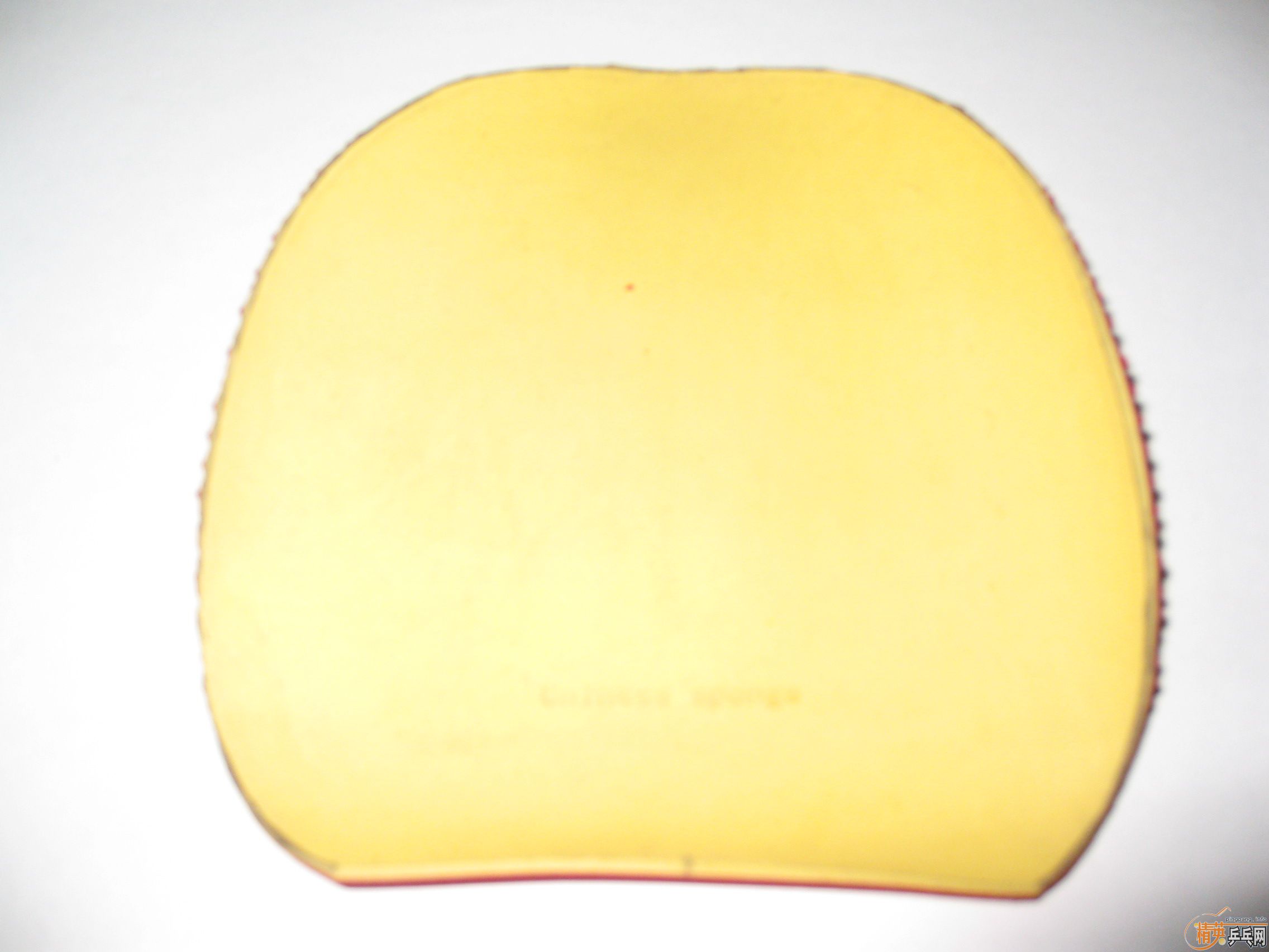 ���ų��º��M5�������׽�