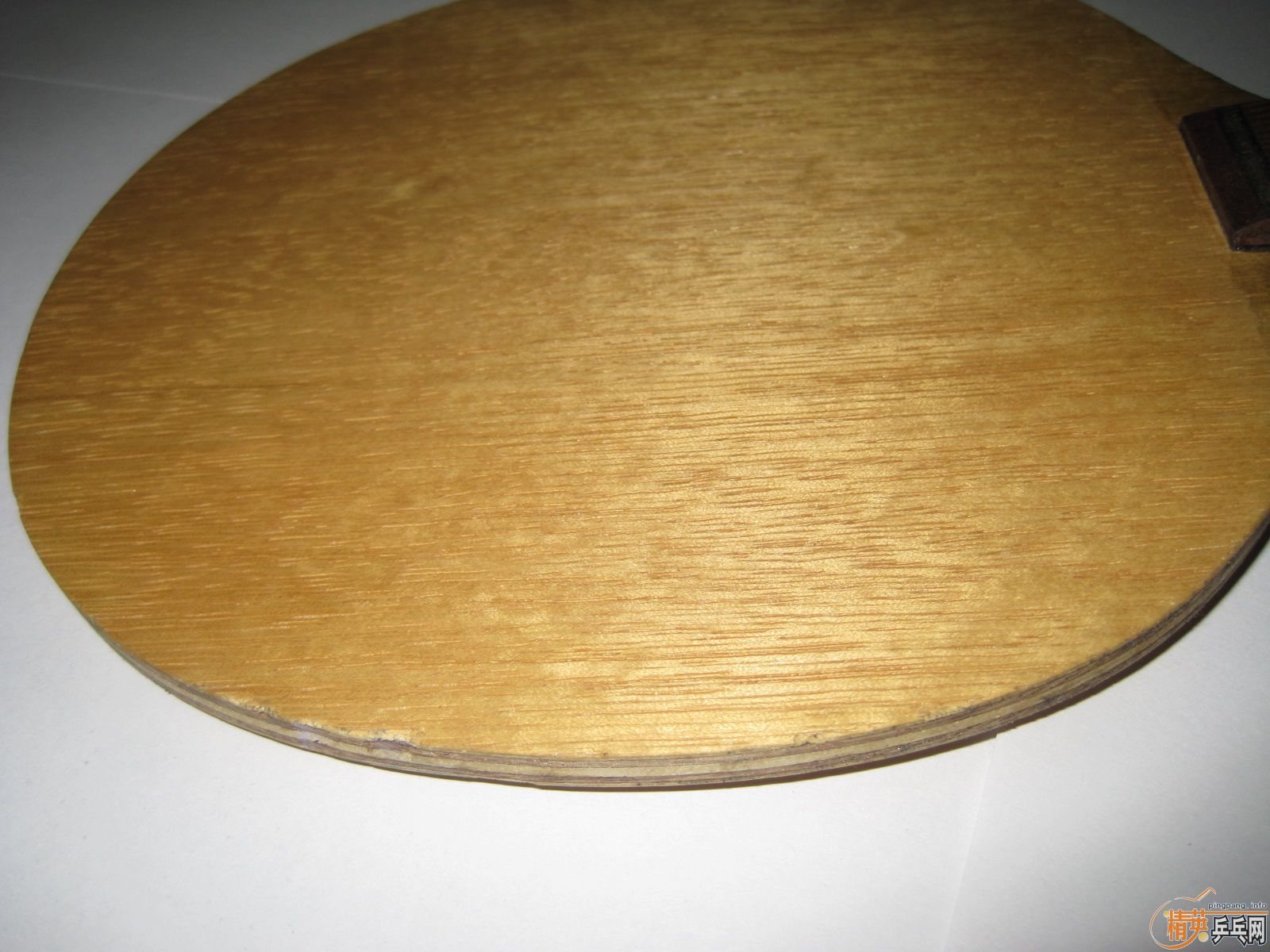 ����֧�壨����������TELION��������95��OC-CR���������ִ���