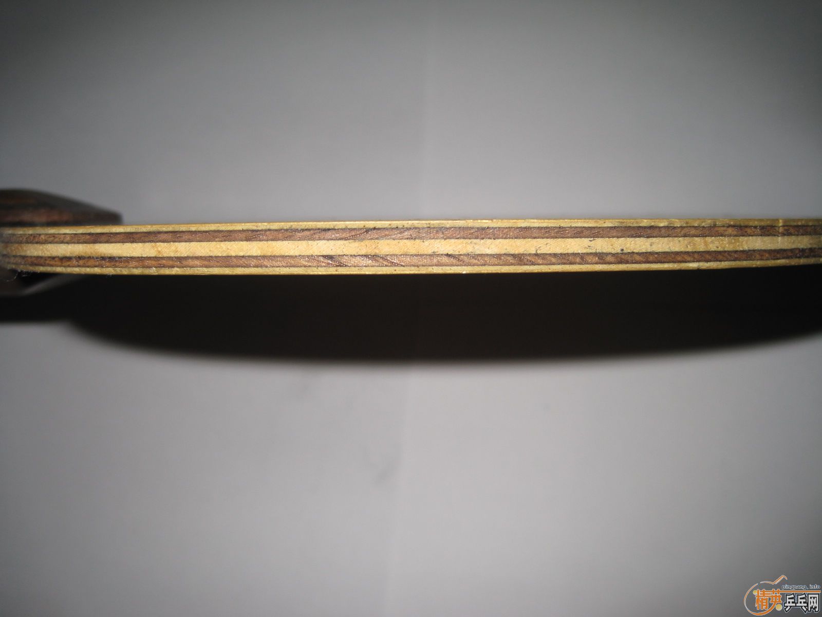 ����֧�壨����������TELION��������95��OC-CR���������ִ���