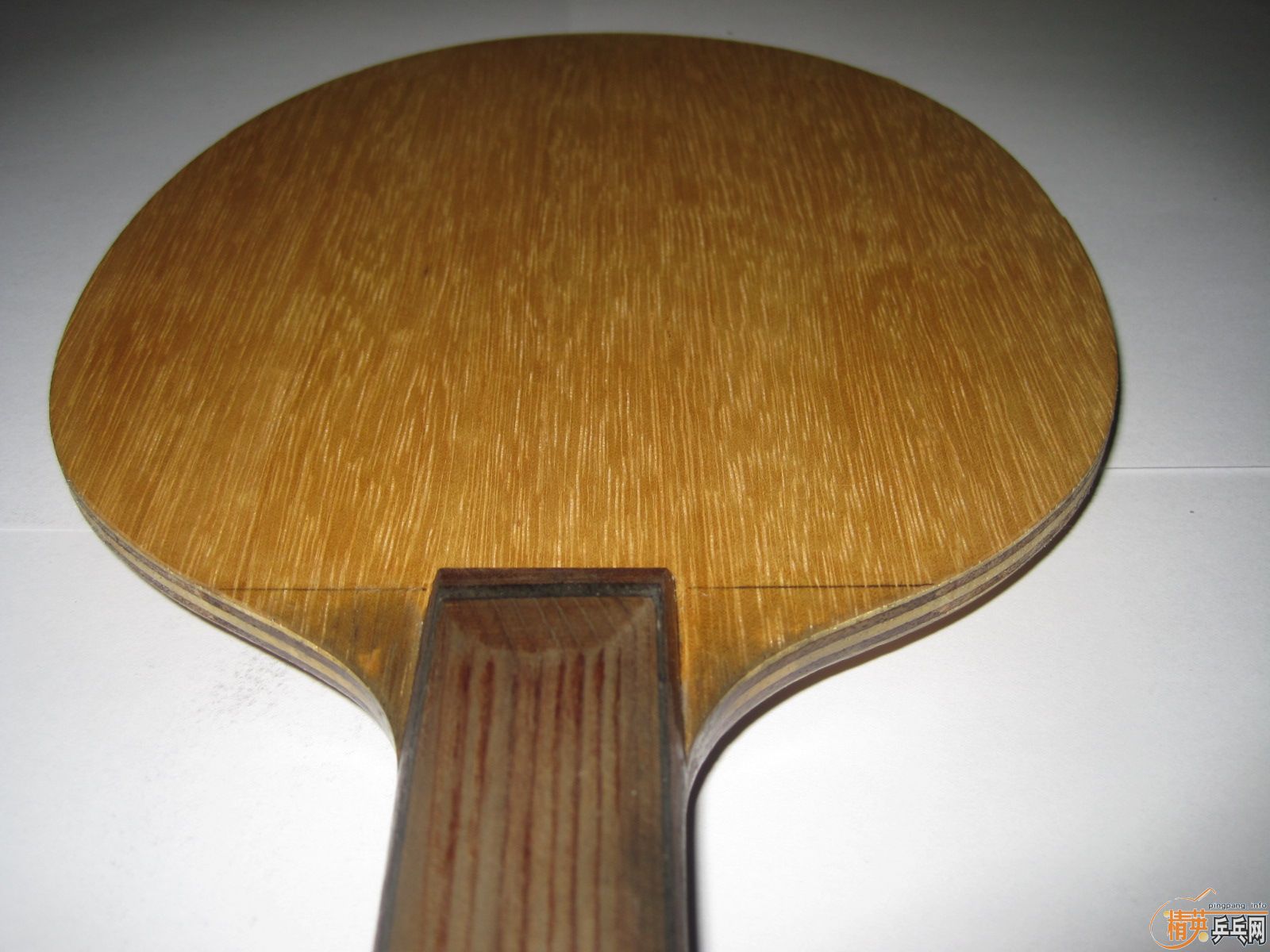 ����֧�壨����������TELION��������95��OC-CR���������ִ���