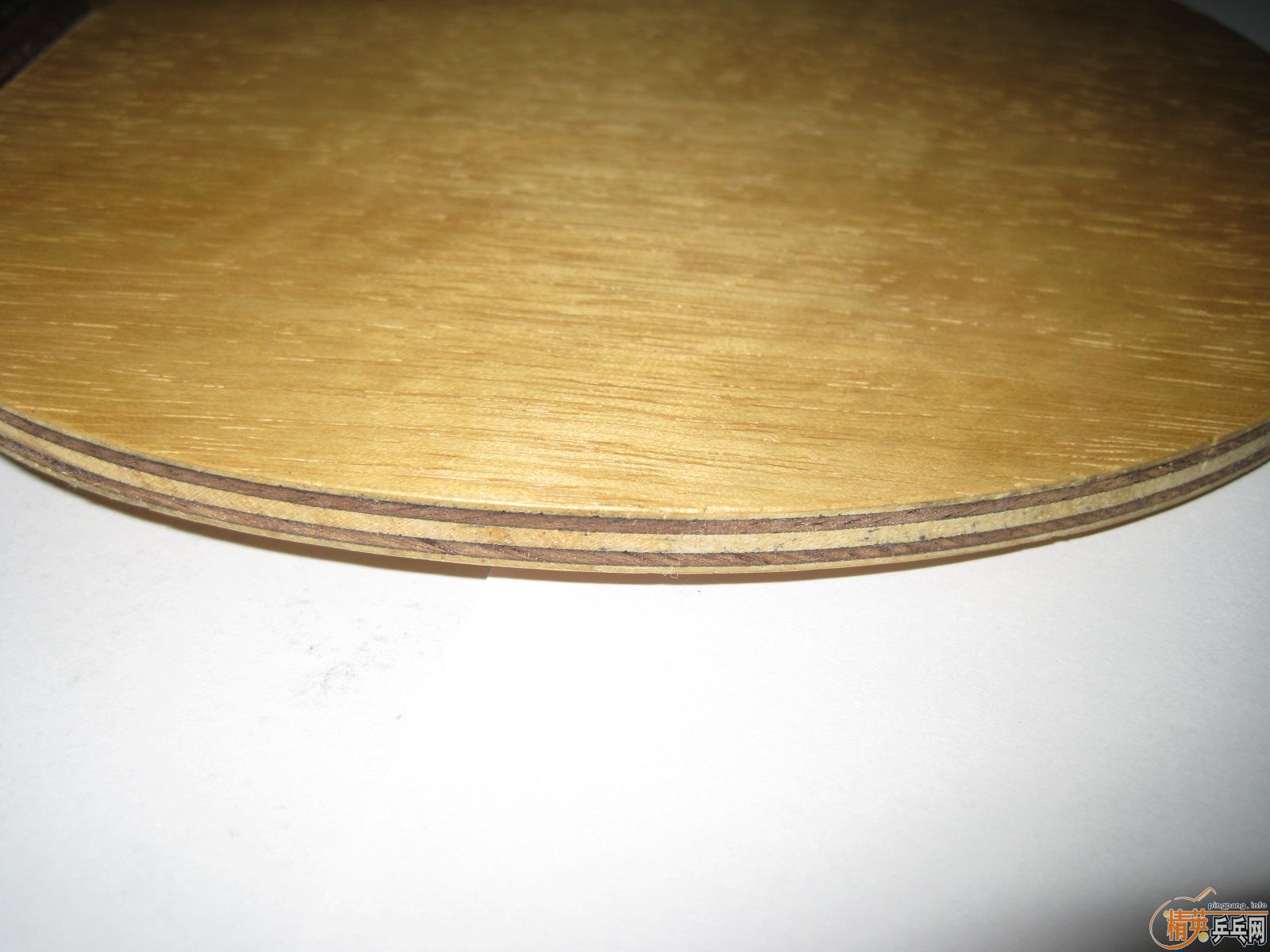 ����֧�壨����������TELION��������95��OC-CR���������ִ���