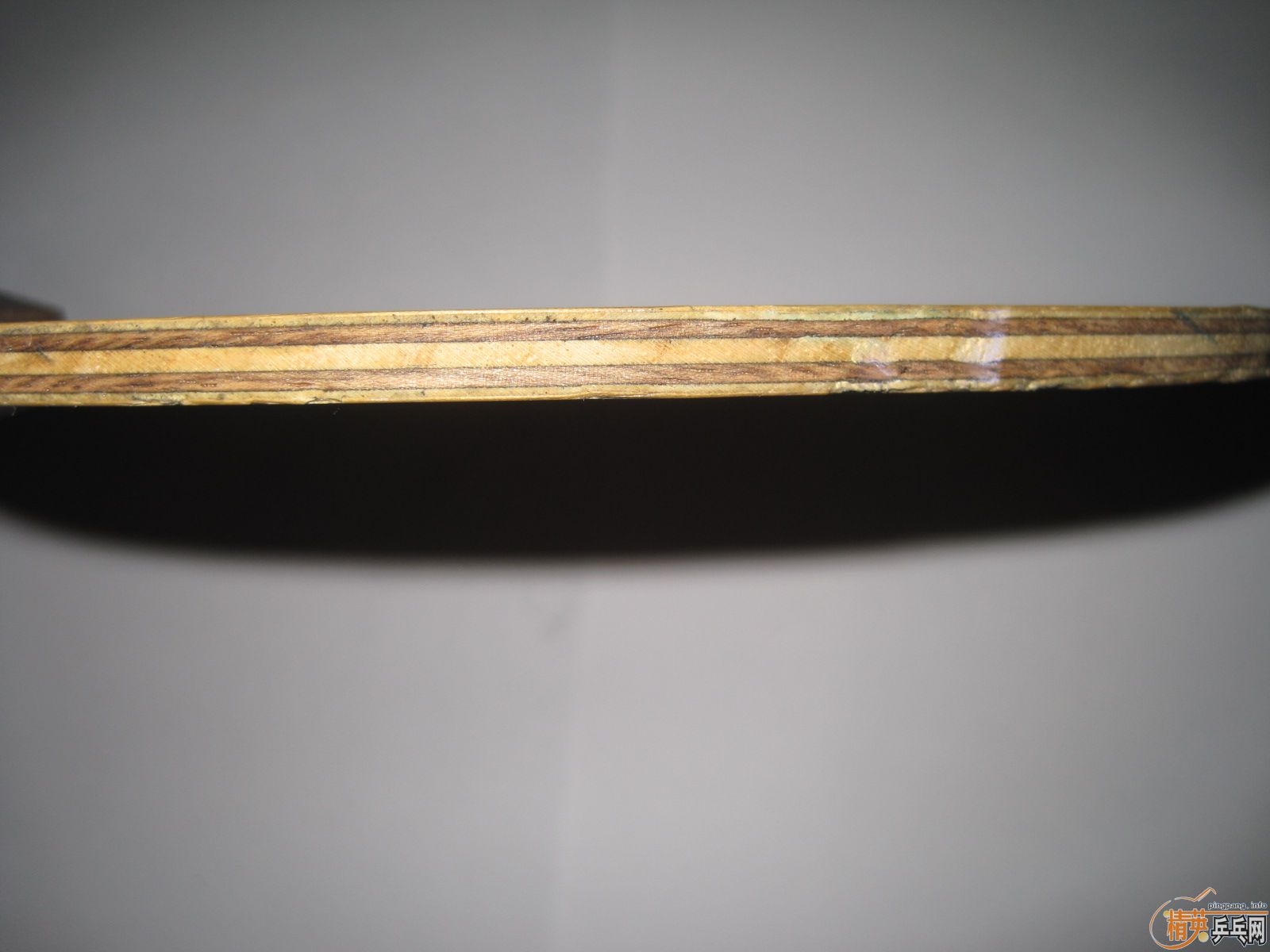 ����֧�壨����������TELION��������95��OC-CR���������ִ���