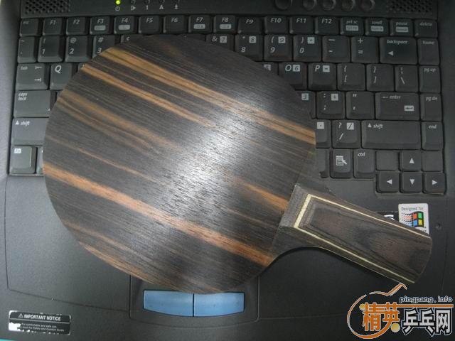 ��˹�Ͽ���̴5(��ɫ��ͼ)