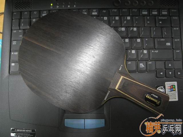 ��˹�Ͽ���̴5(��ɫ��ͼ)