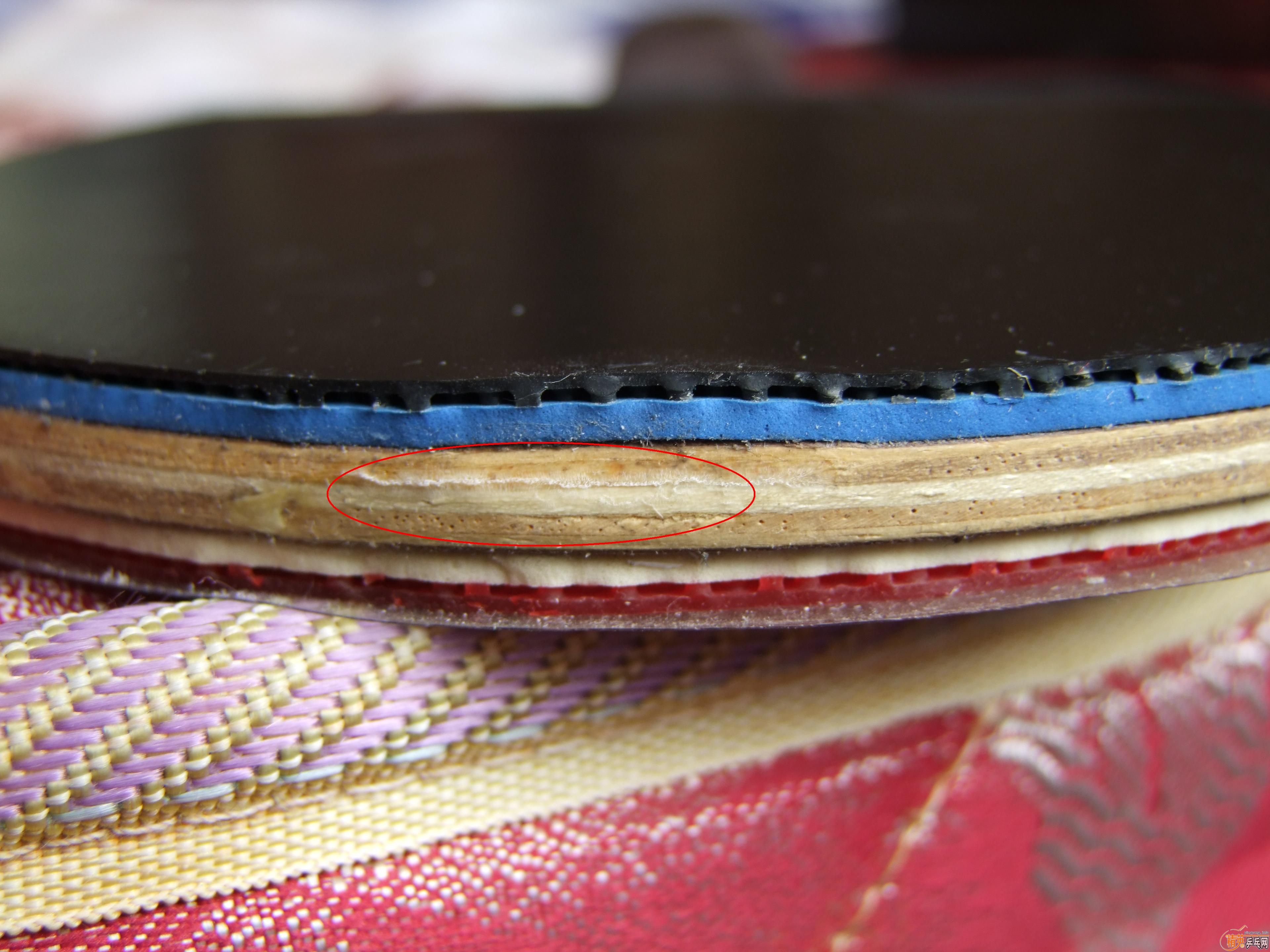 �����ñ��˳���������7��120Ԫ����