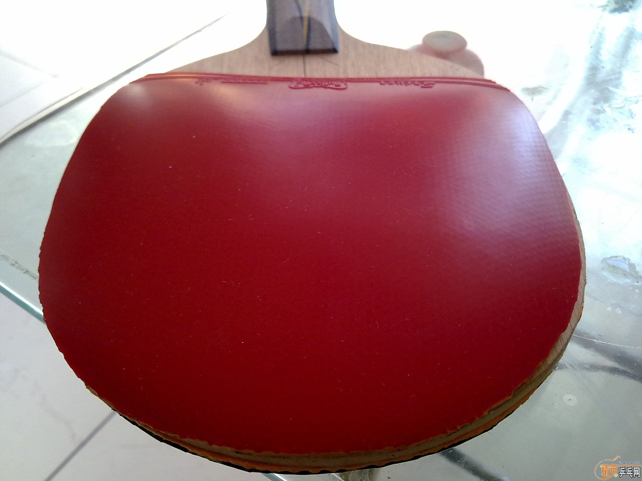 ���˳�  �����S1+���� SRIVER