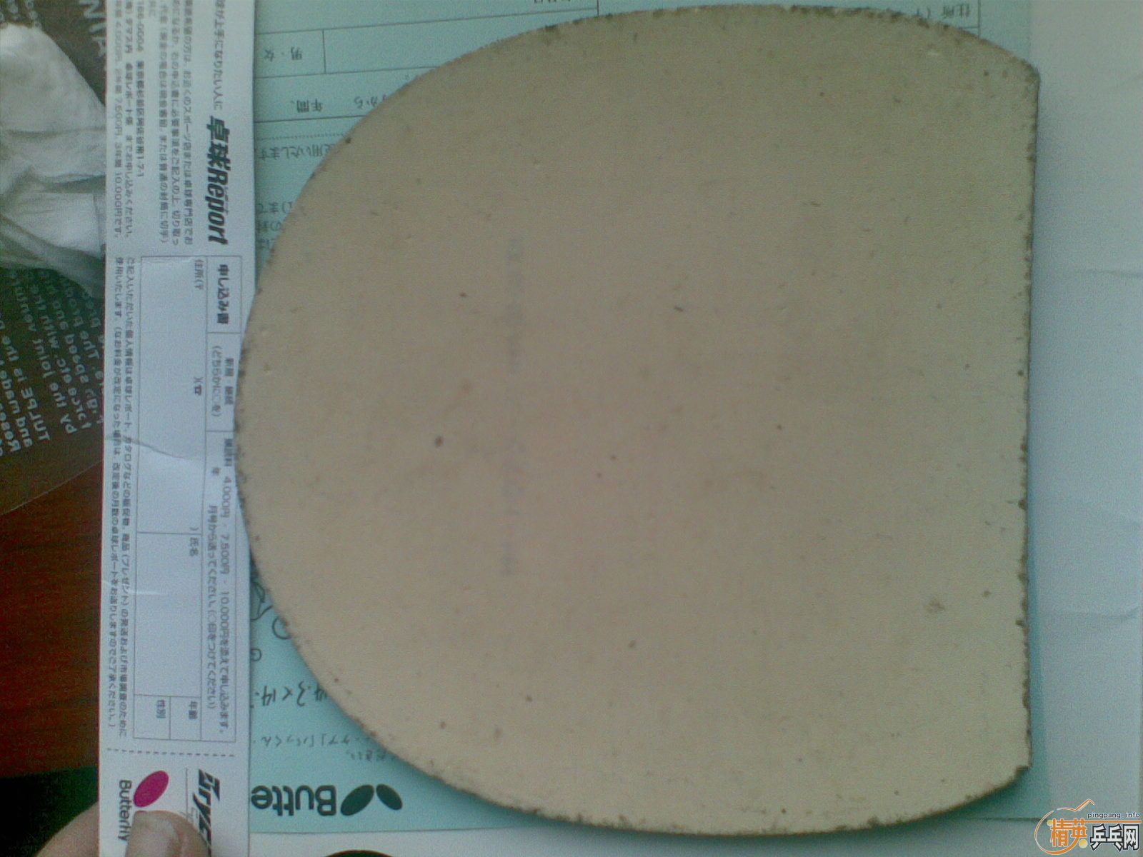 ���  bryce speed  ��Ƥ