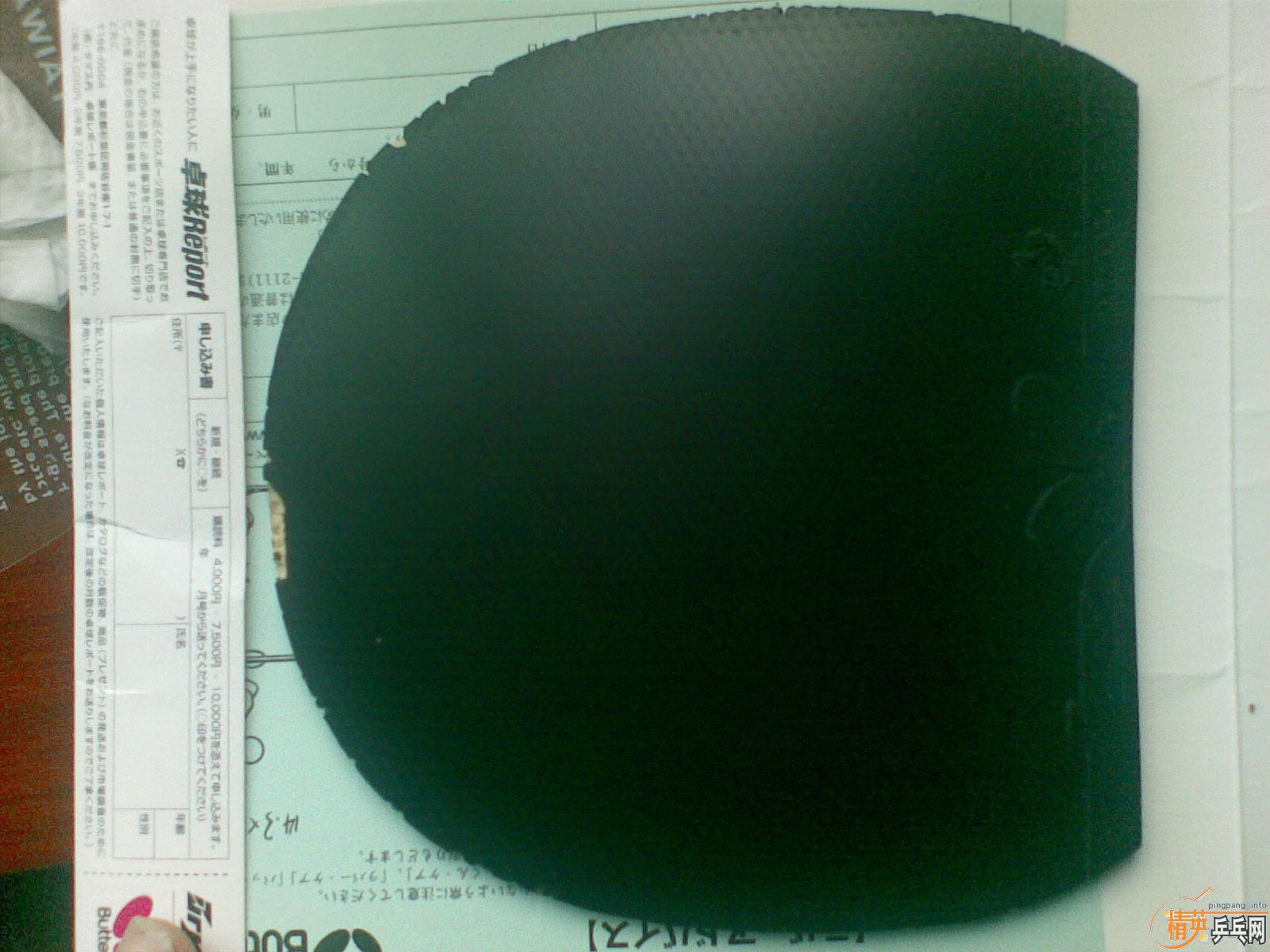 ���  bryce speed  ��Ƥ