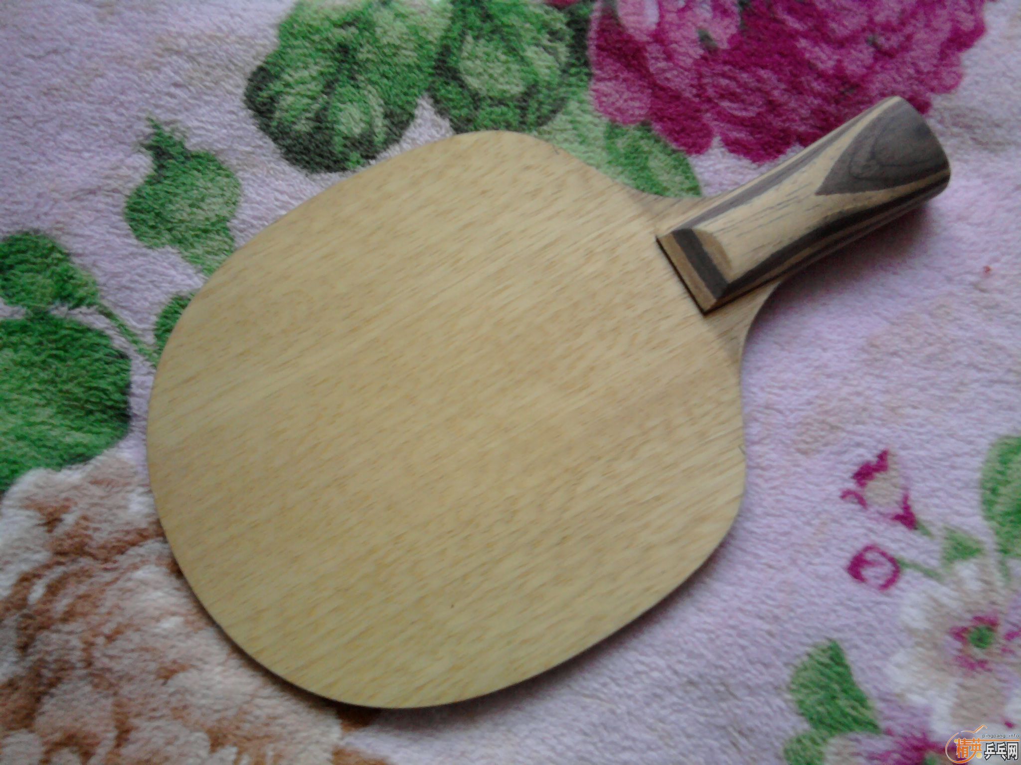 ��ֱ��Ʊ���,������