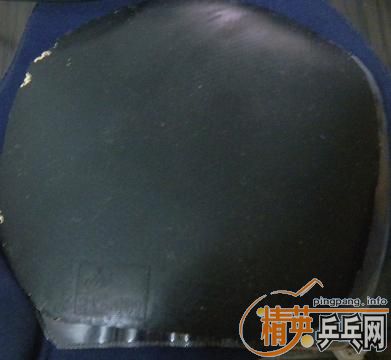 ����� �ع�����JO