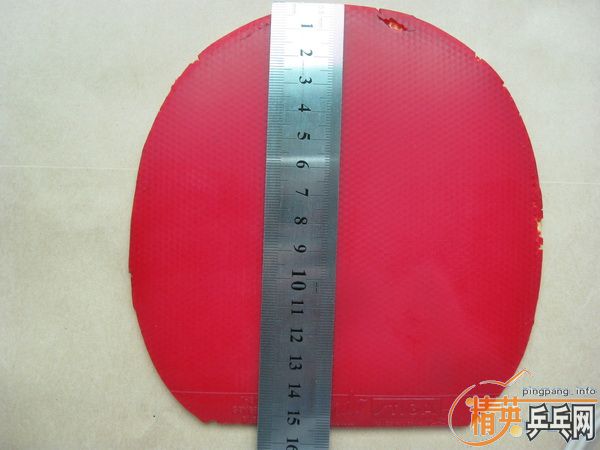 ����T stiga��Ƥ