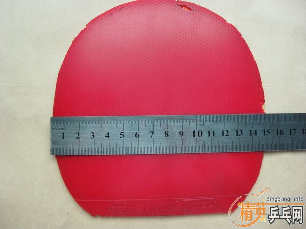 ����T stiga��Ƥ