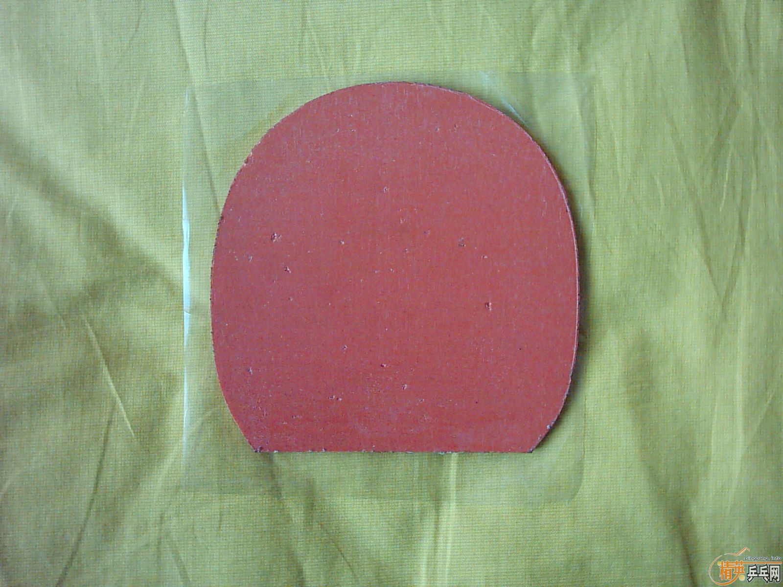 ֱ��YEO���ְ����ɫ��������������������T05