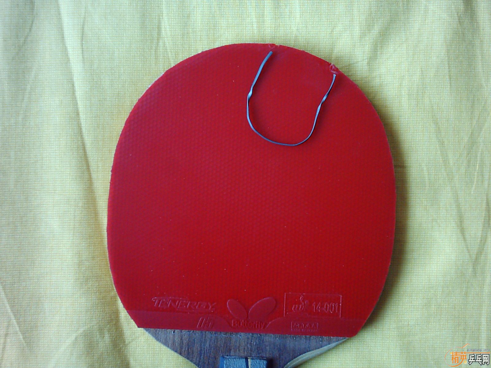 ֱ��YEO���ְ����ɫ��������������������T05