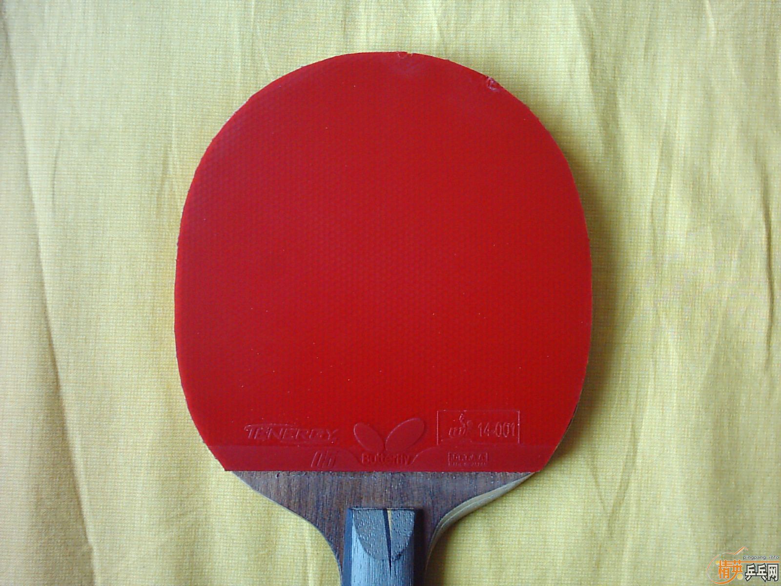 ֱ��YEO���ְ����ɫ��������������������T05