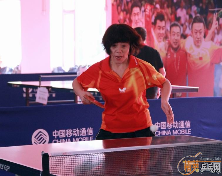 ��Ӣ���µü�����ƹ������ֲ�������Ƭ ������ ��