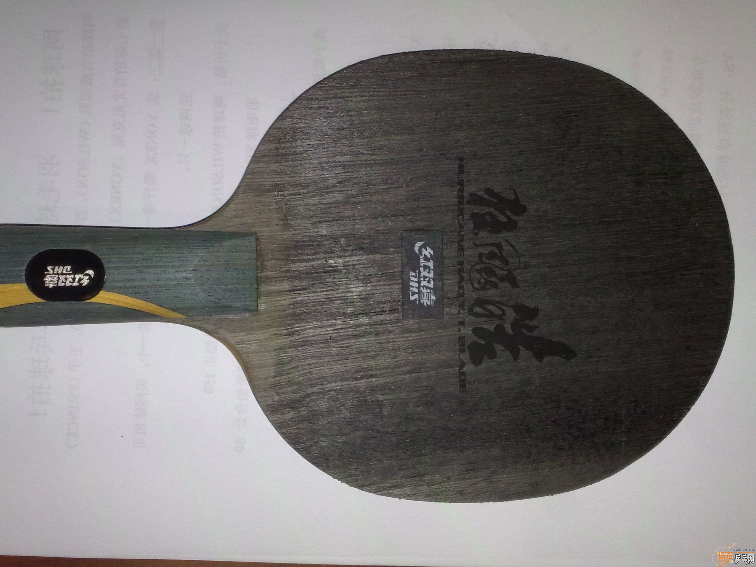 �����˿���