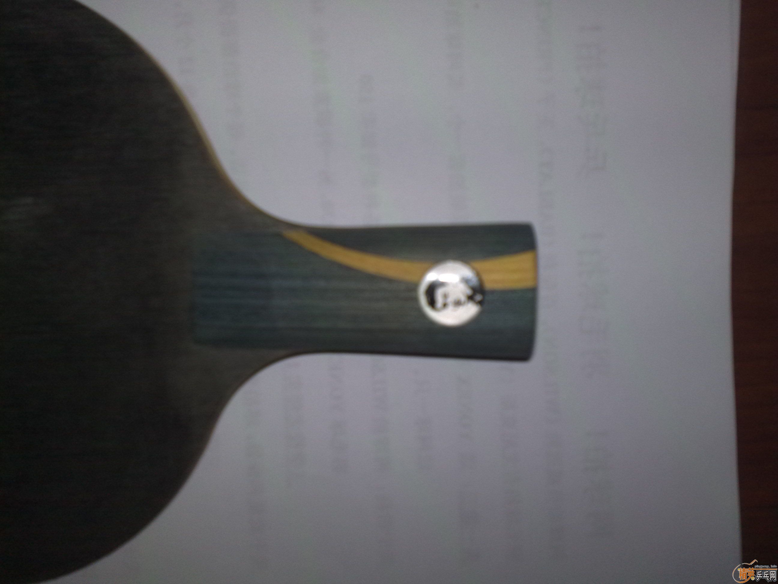 �����˿���