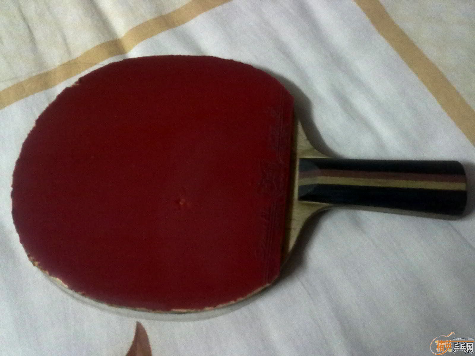 ������RANAPPU-CS ��21800��