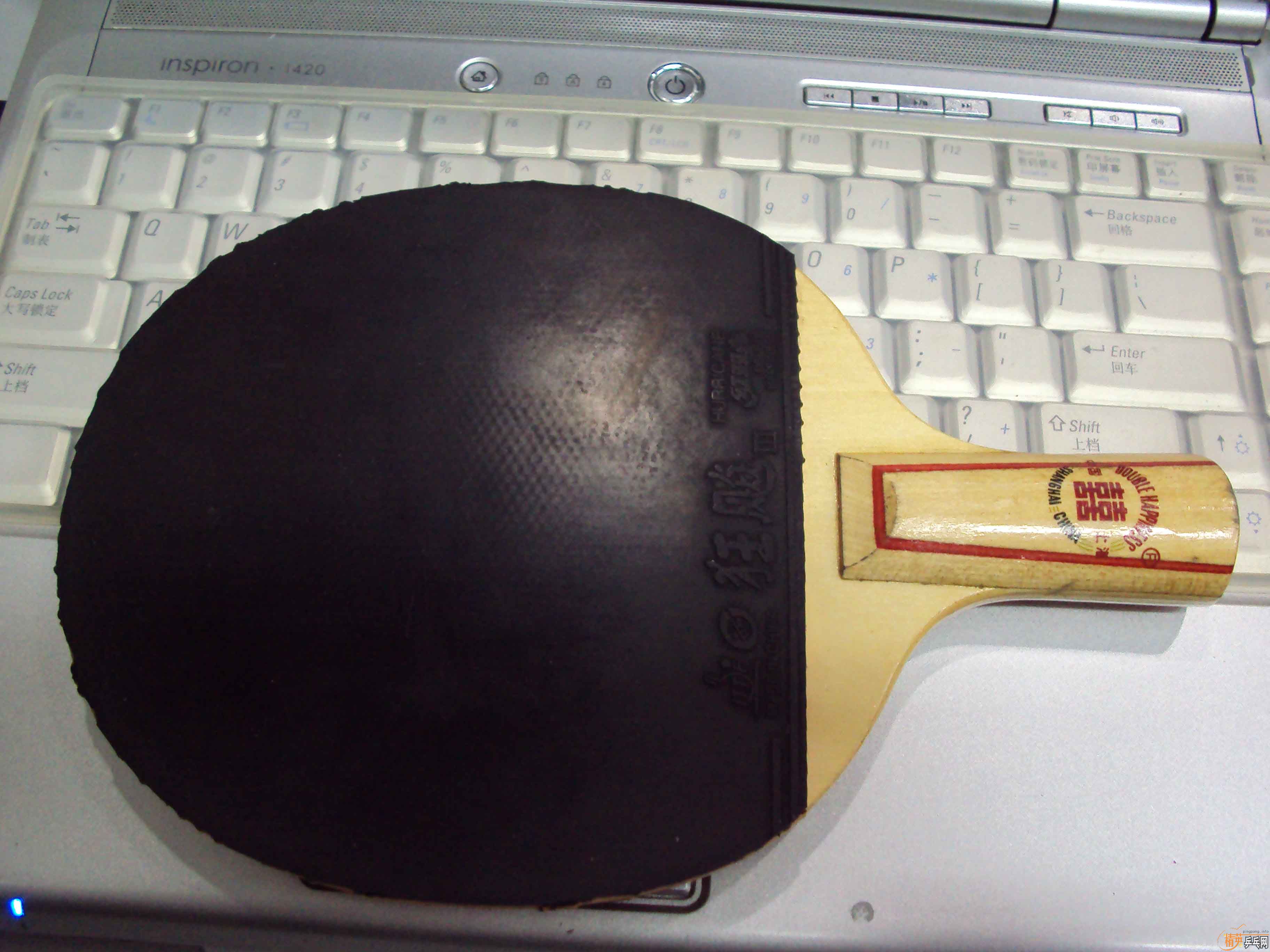 [ԭ��]��ʮ��������ͺ�˫ϲ��ƹ�����ĺ�Ʒ5�ϰ�ֱ��