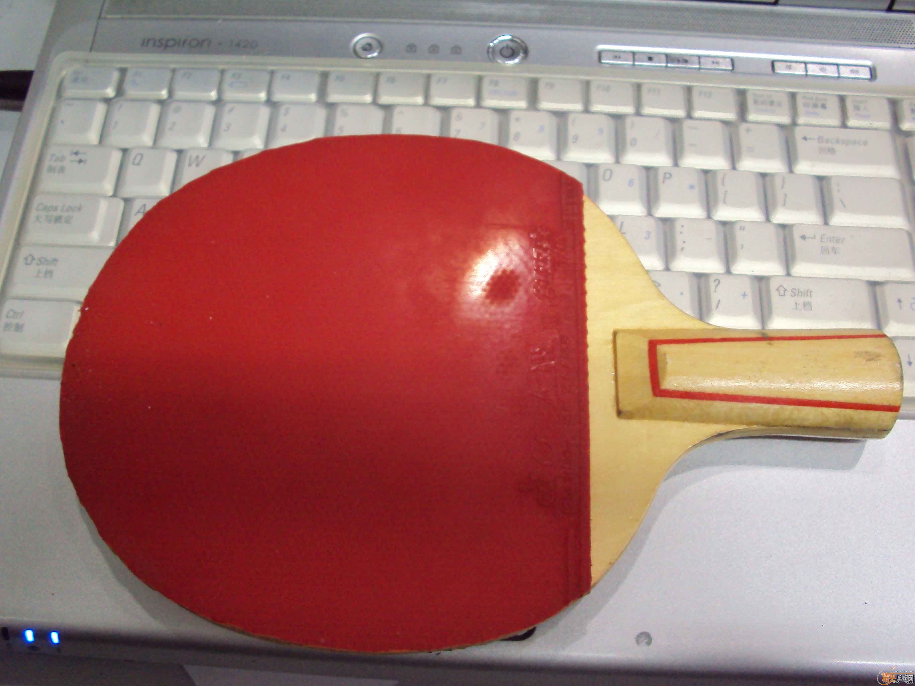 [ԭ��]��ʮ��������ͺ�˫ϲ��ƹ�����ĺ�Ʒ5�ϰ�ֱ��