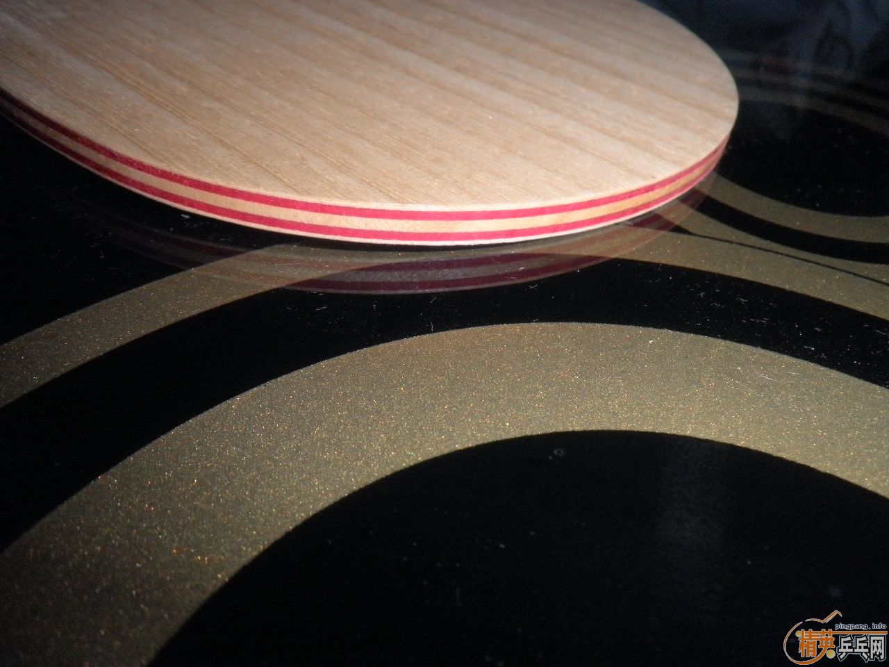 ��ֻ���һ�ε�81���л���CL��֧�������ף�