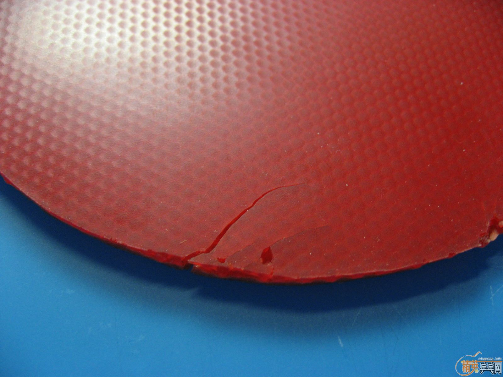 ������ Ioliteһ֧ �л������һ�����˵� T05