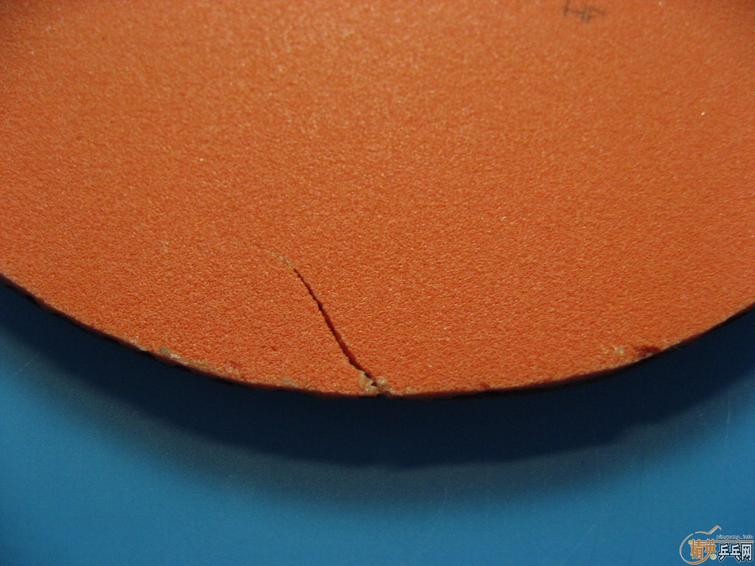 ������ Ioliteһ֧ �л������һ�����˵� T05