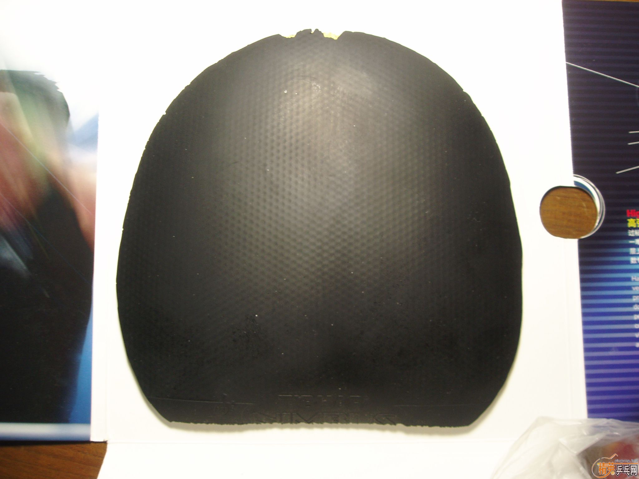 ���  bryce speed  ��Ƥ